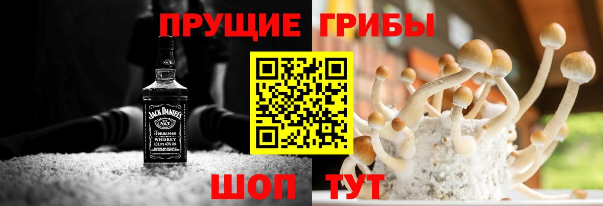 Новошахтинск  цены наркотик  Вход с VPN  Галлюциногенные грибы ЛСД 