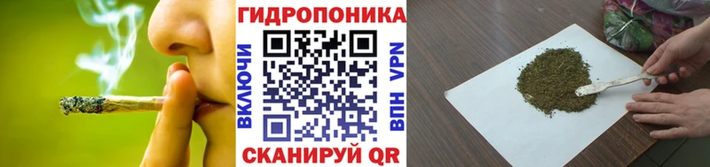 Шишки марихуана SATIVA & INDICA  Новошахтинск 